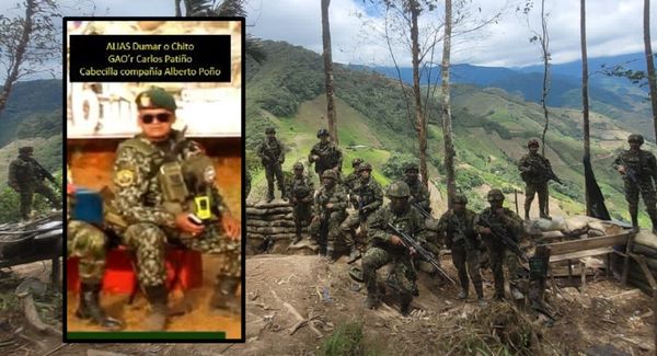 Temido jefe de las disidencias ordena "mochar cabezas" de soldados en Argelia, Cauca