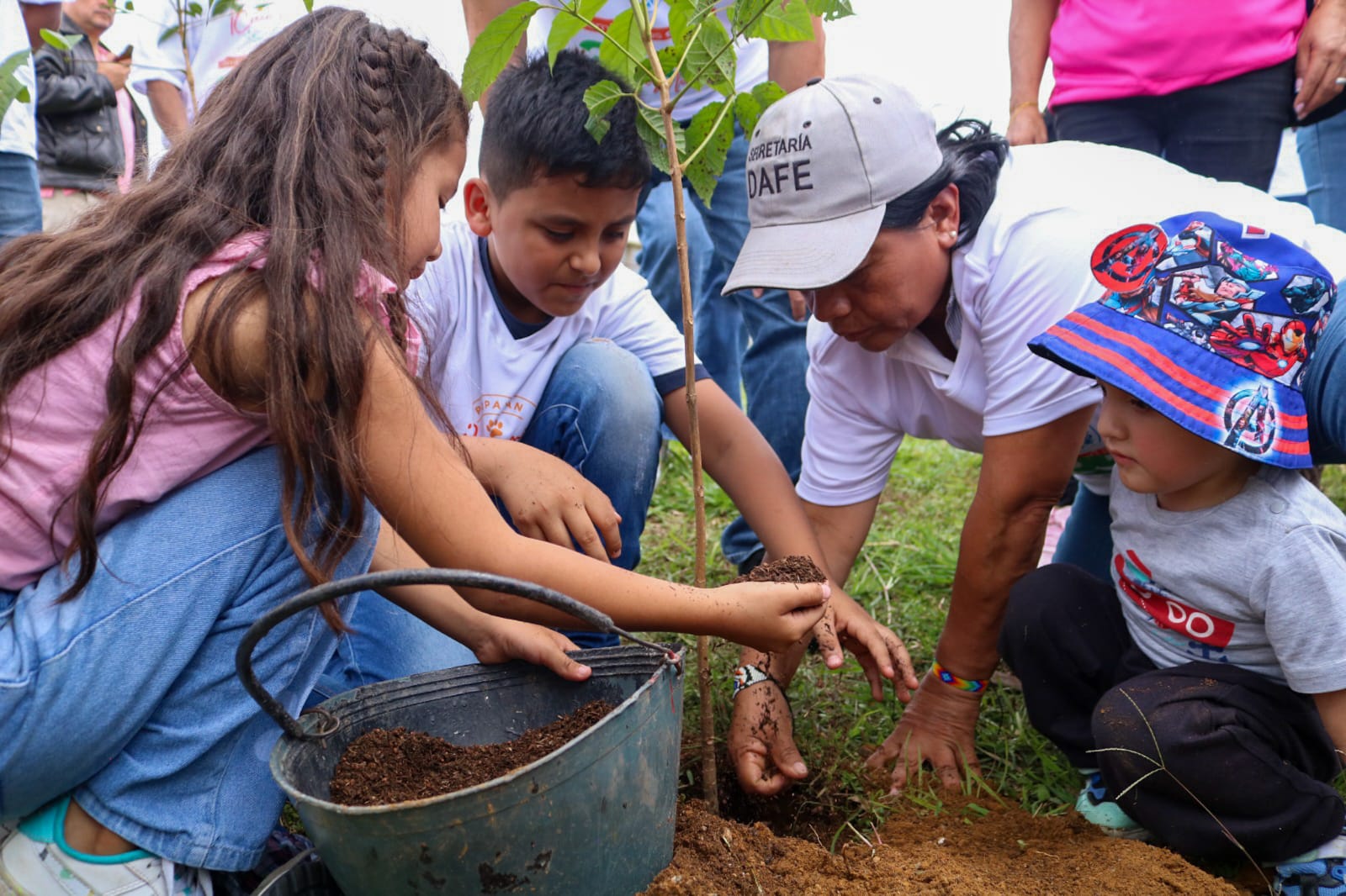 Popayán cumplió la meta de sembrar el árbol 350.000