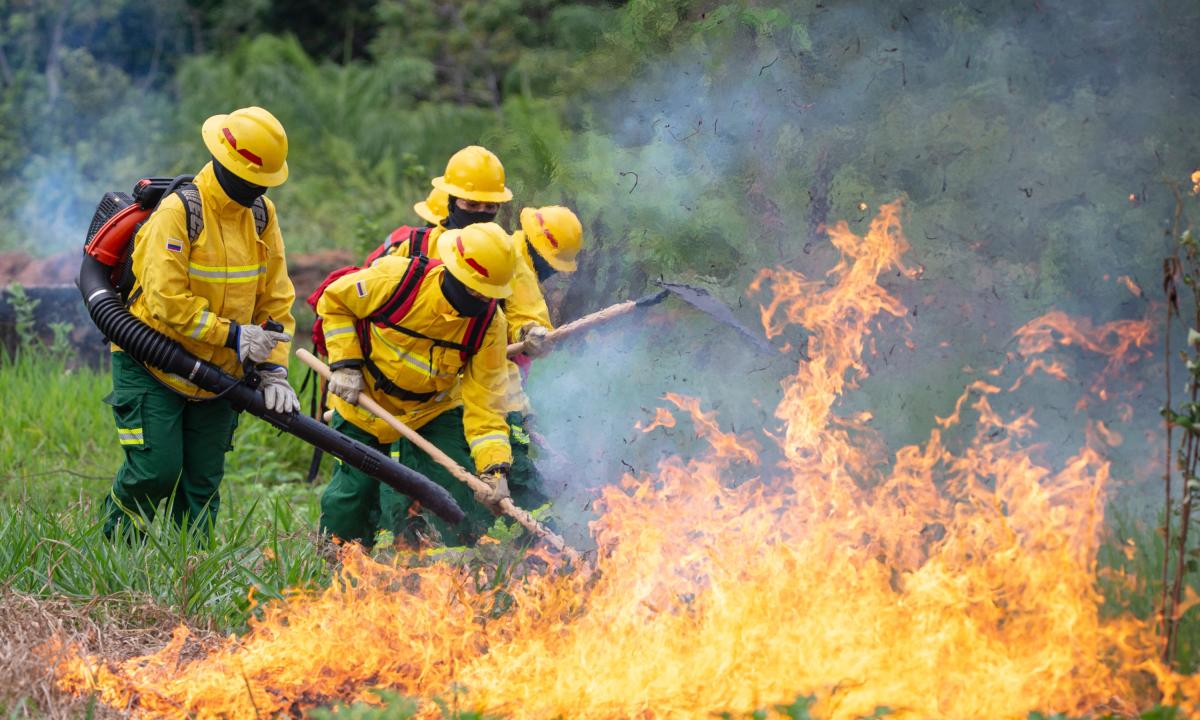 Colombia: 26 capturados por delitos relacionados con los incendios forestales