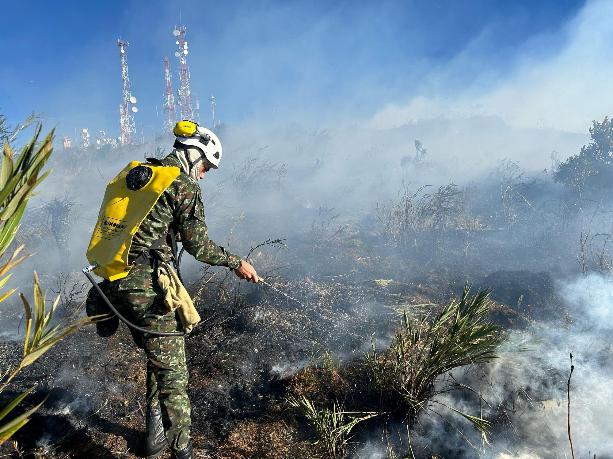 Gobierno nacional y organismos de socorro luchan contra los incendios forestales