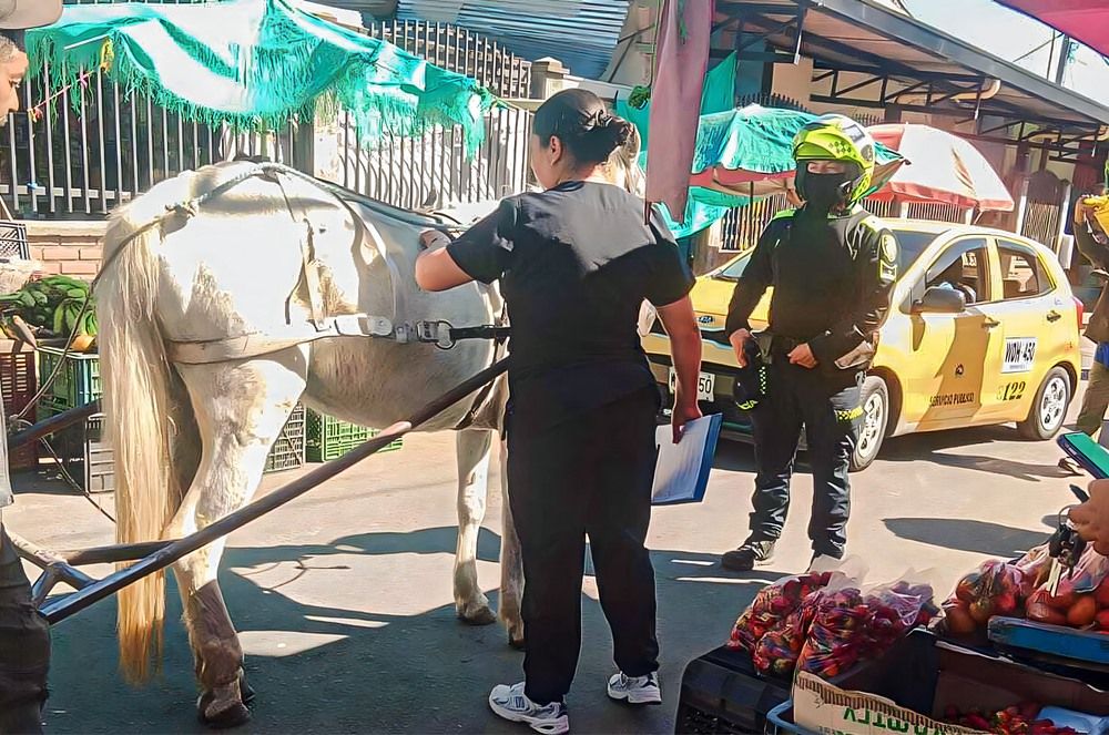 Inician operativos de control para no permitir la circulación de carretillas en Popayán