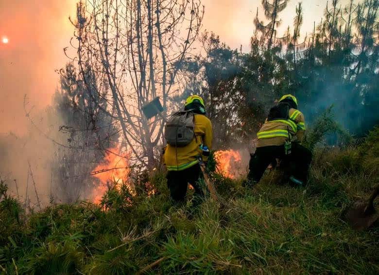 Gobierno de Gustavo Petro 'combate' los incendios forestales