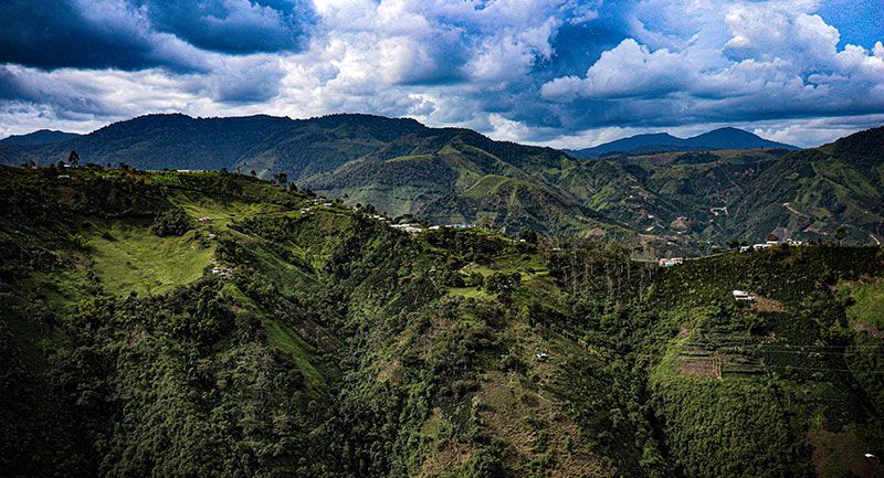 Cinco personas asesinadas en el centro de departamento del Huila