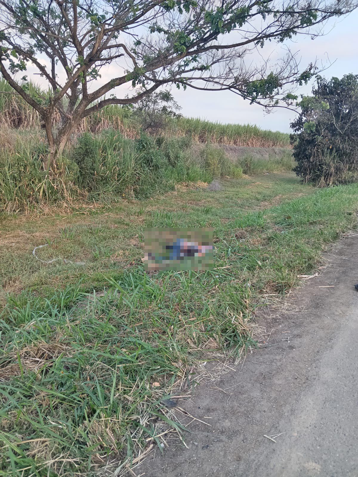 Encuentran cadáver a un costado de la vía Panamericana