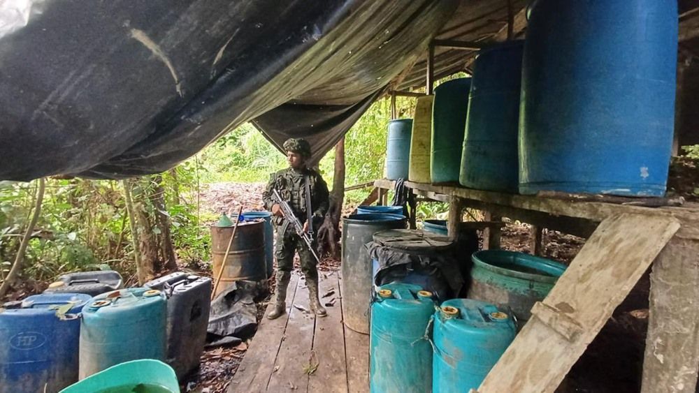 (Vídeos) Cuatro laboratorios de coca fueron destruidos en el Cauca