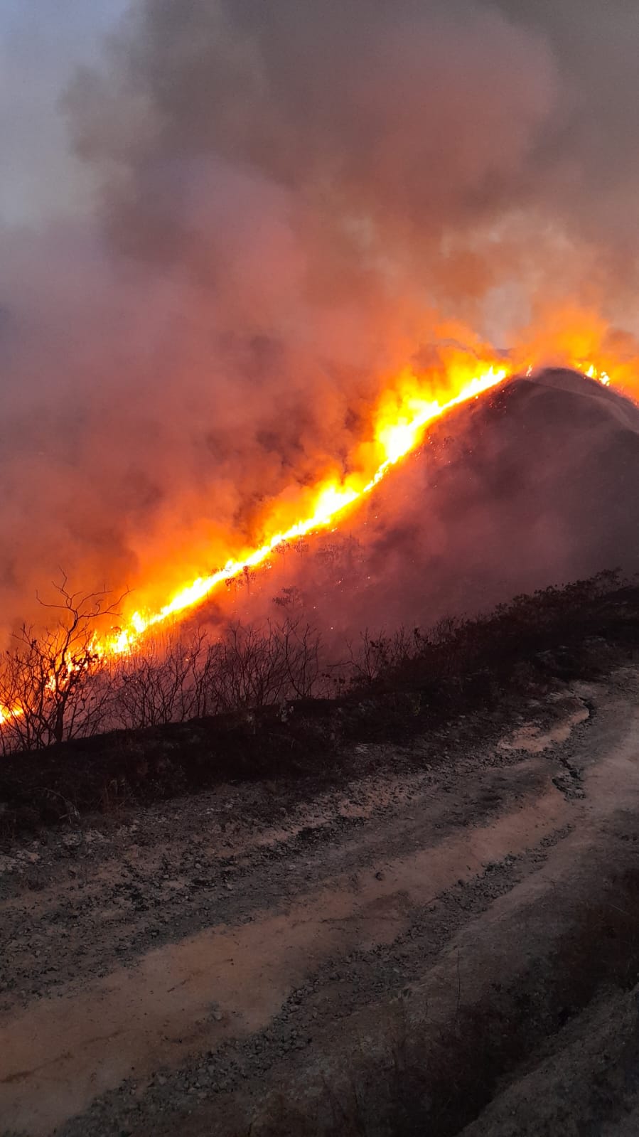 Bomberos de Santander de Quilichao, Cauca, atienden dos incendios forestales