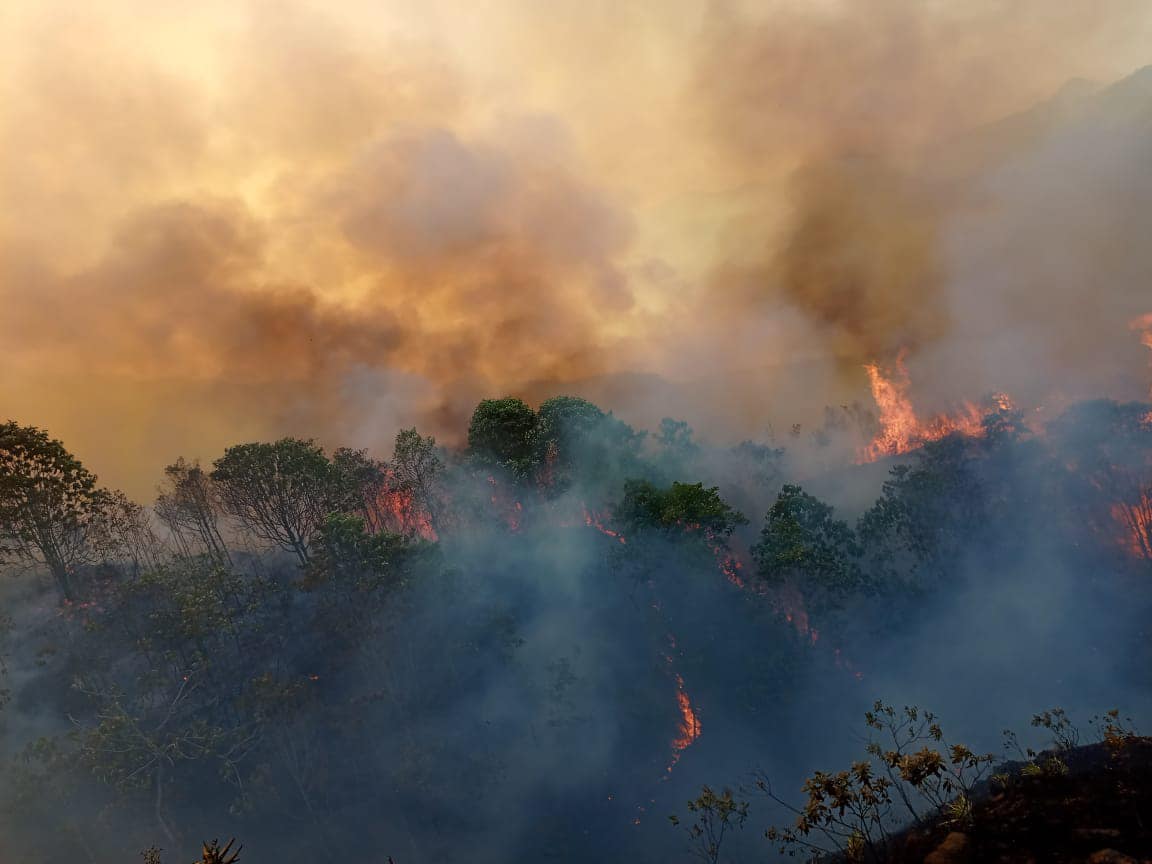 El Cauca en llamas: urgencia ambiental por incendios forestales en medio del Fenómeno del Niño