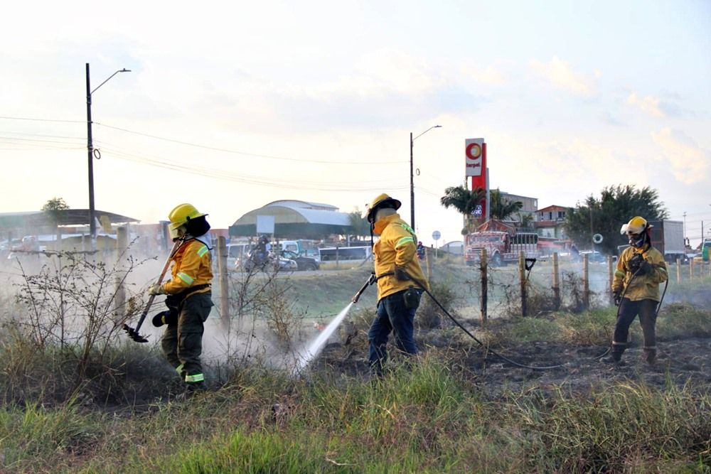 Bomberos Popayán atendió más de 30 incendios forestales el pasado fin de semana