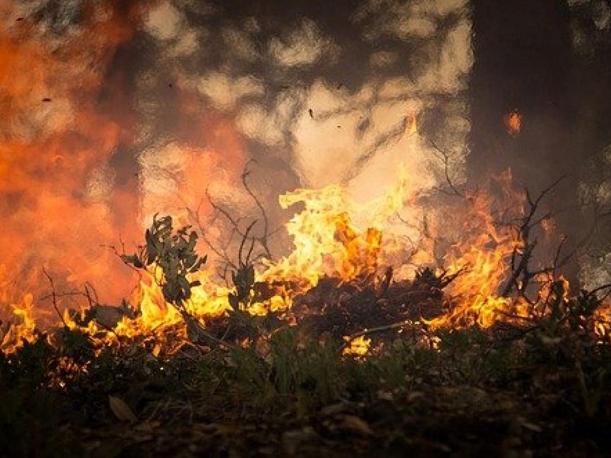 Nariño: las recomendaciones a las comunidades para evitar los incendio forestales