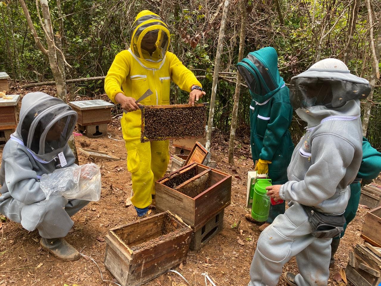 Gobierno Nacional invierte cerca de $42.000 millones en el fortalecimiento de emprendimientos agroambientales en municipios PDET