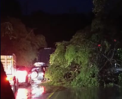 Una gigantesca roca cayó sobre un bus que cubría la ruta Popayán-Pasto: dos muertos y cinco heridos