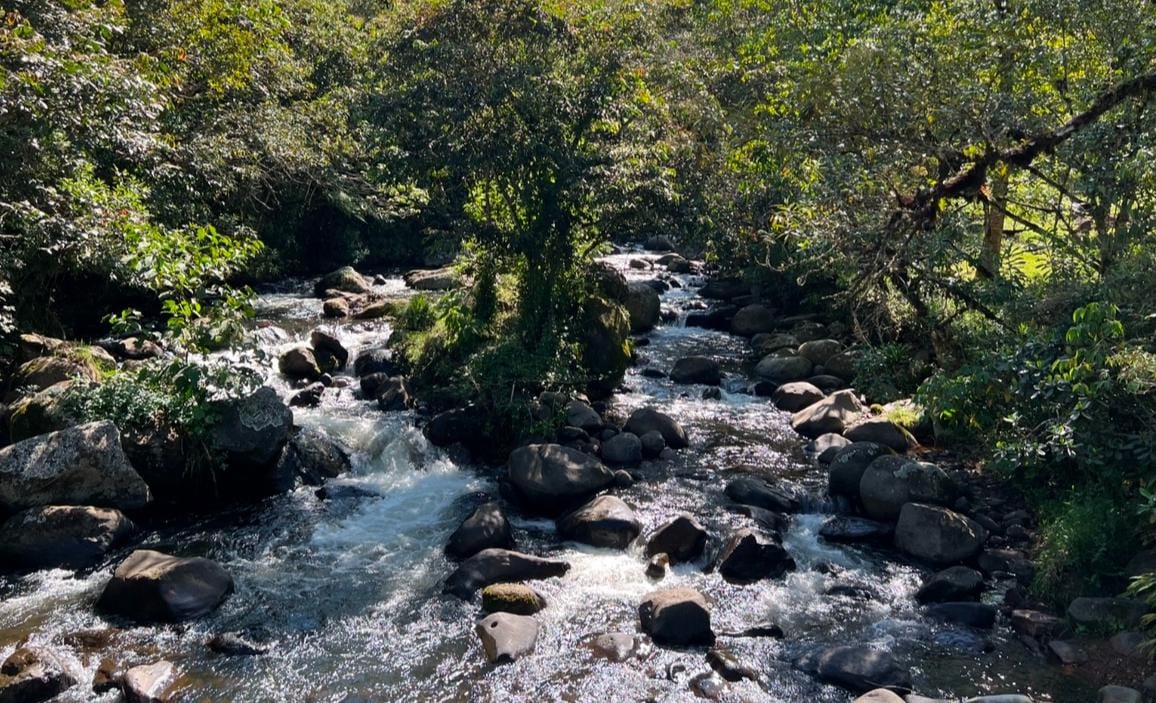 Cuatro fuentes de abastecimiento permiten que Popayán tenga agua potable de calidad.