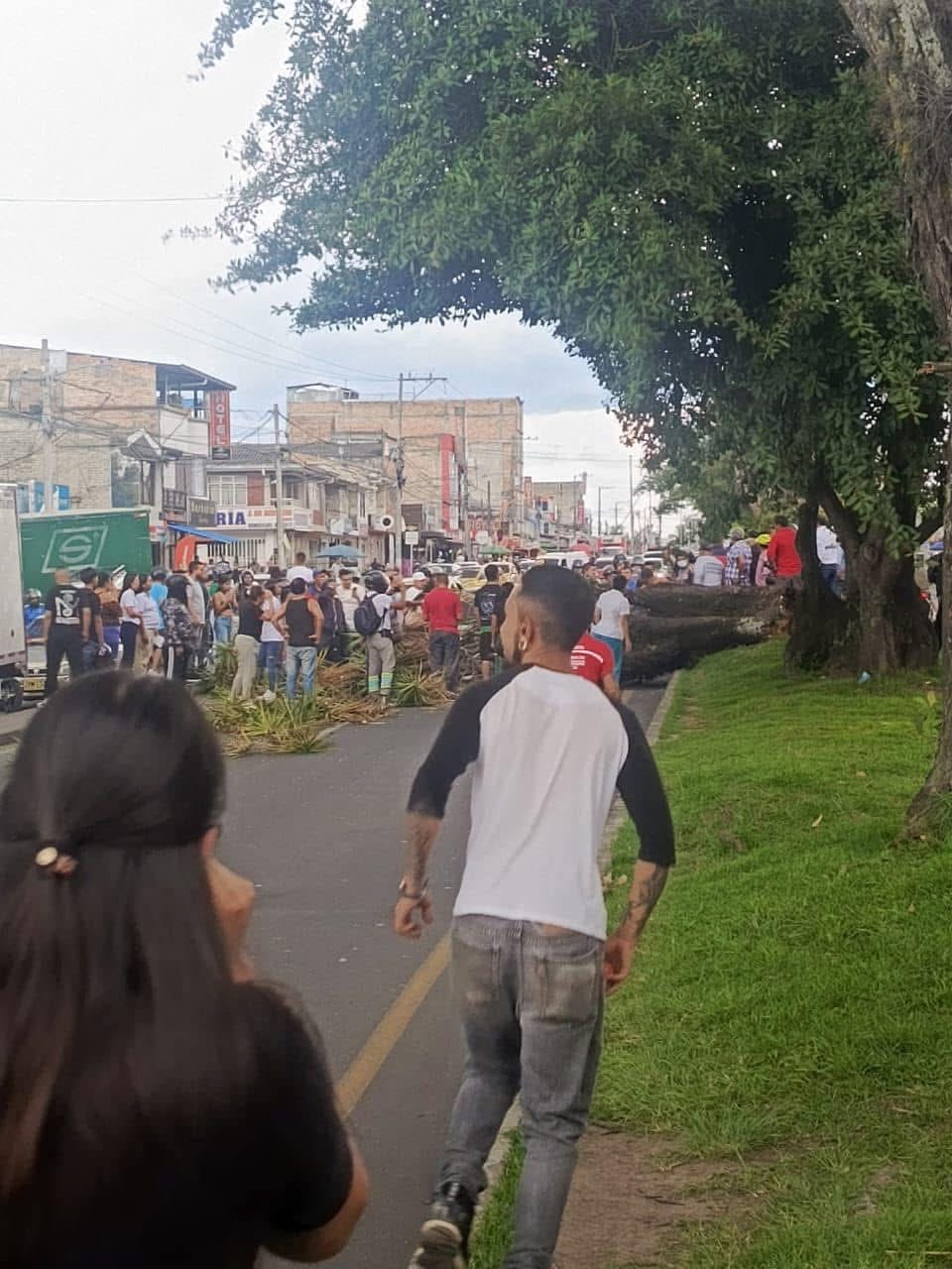 Motociclista pierde la vida al caerle un arbol encima