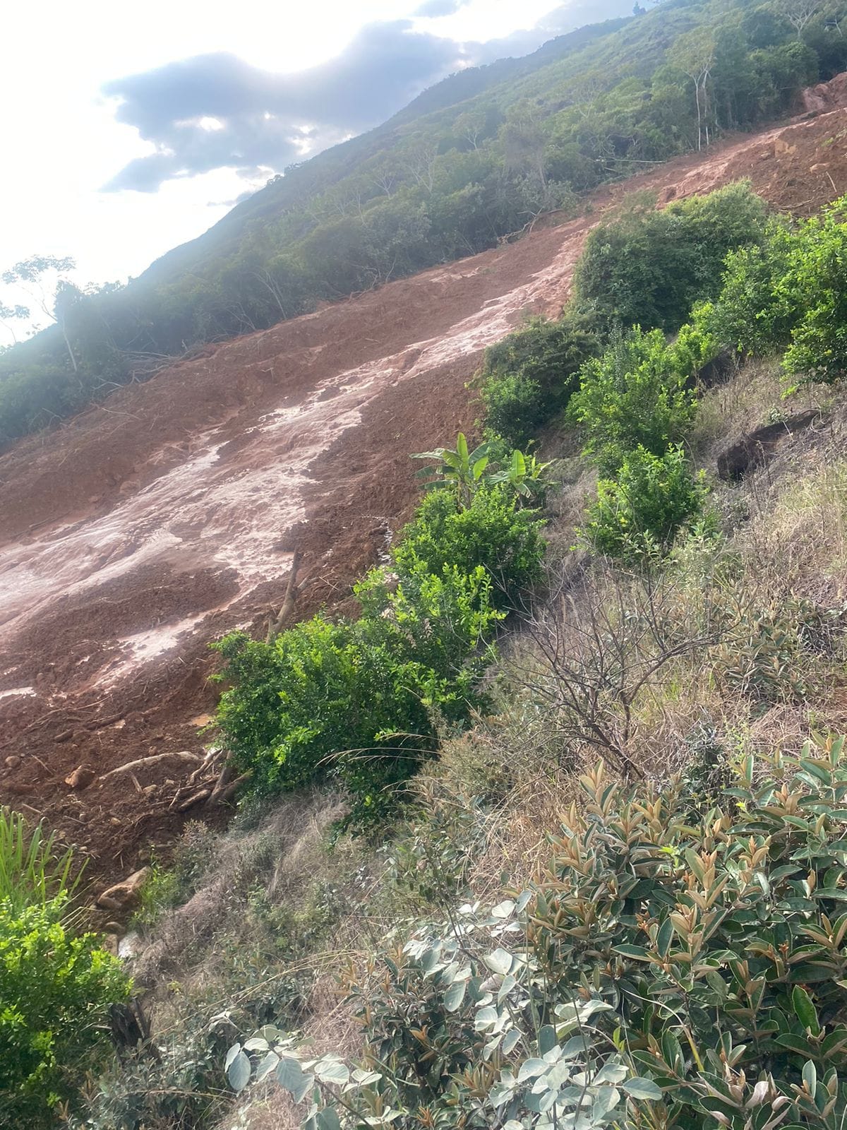 Graves emergencias en Balboa, Cauca, tras una semana de intensas lluvias