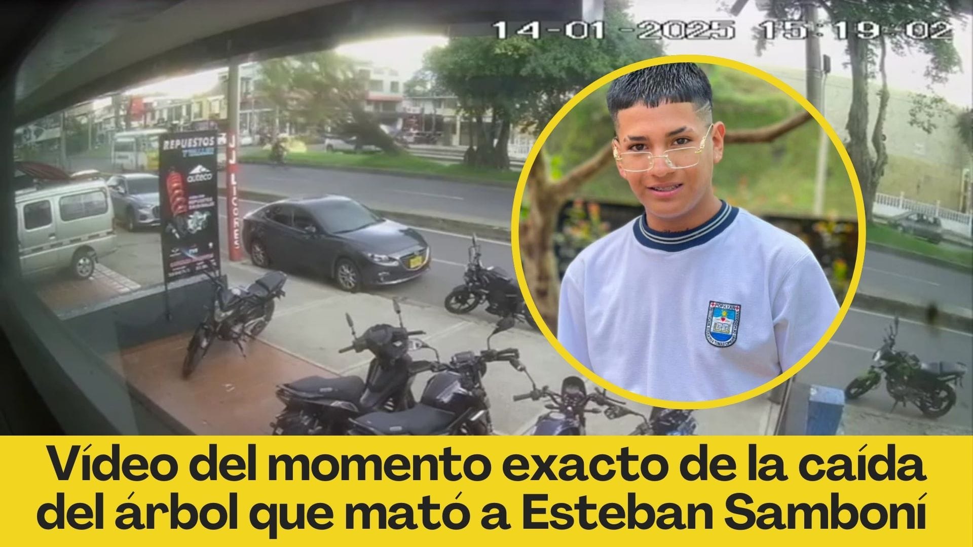 Vídeo del momento exacto de la caída del árbol que mató a Esteban Samboní