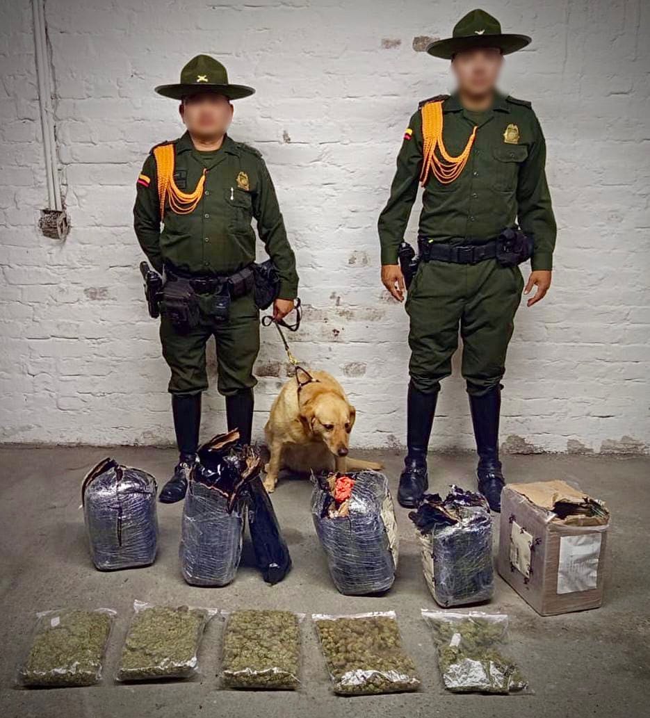 Siete kilos de marihuana fueron incautados en Popayán en medio de un operativo policial