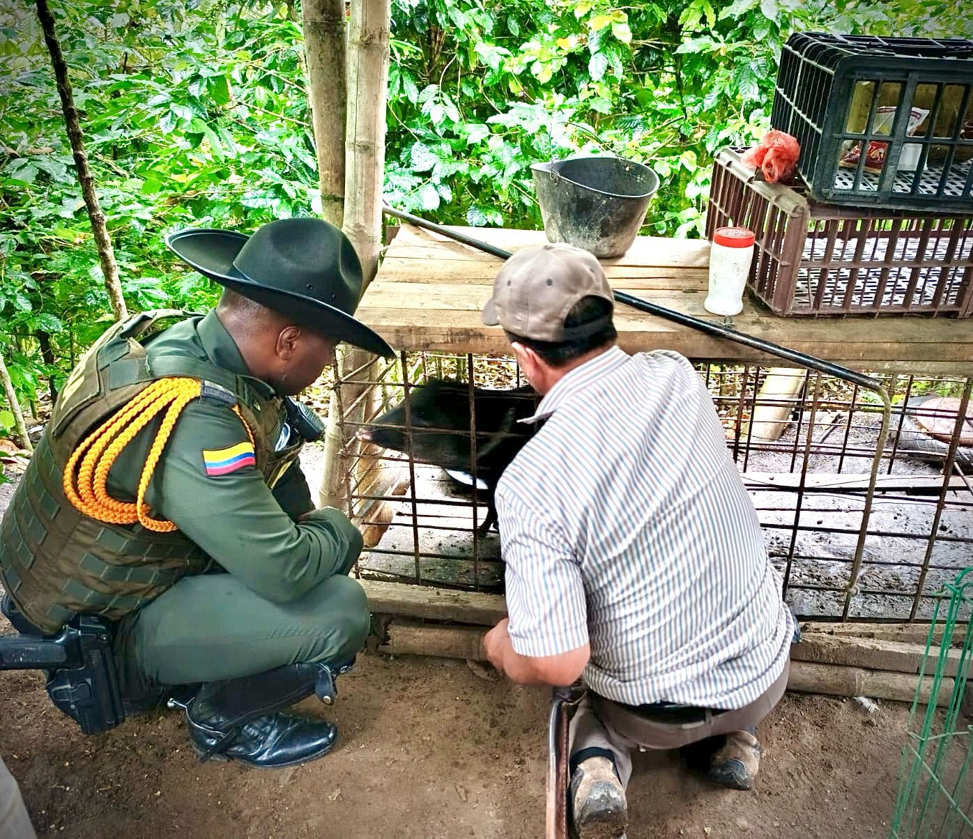 Policía Ambiental rescata espécimen de fauna silvestre en Popayán