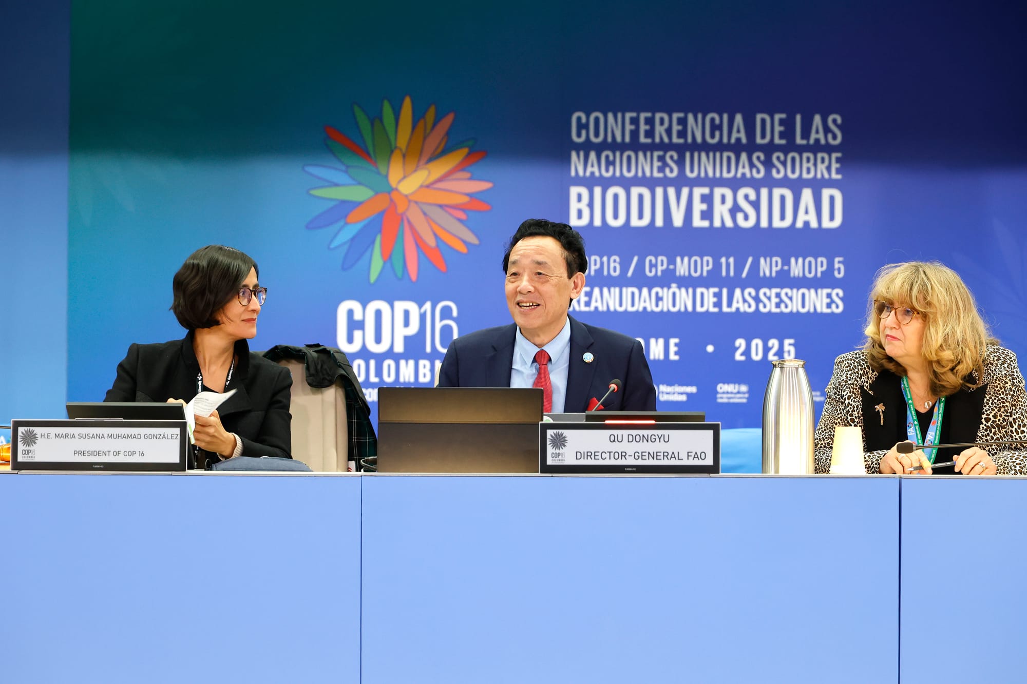 La FAO da la bienvenida a la COP16.2 de las Naciones Unidas sobre la Diversidad Biológica y destaca los sistemas agroalimentarios