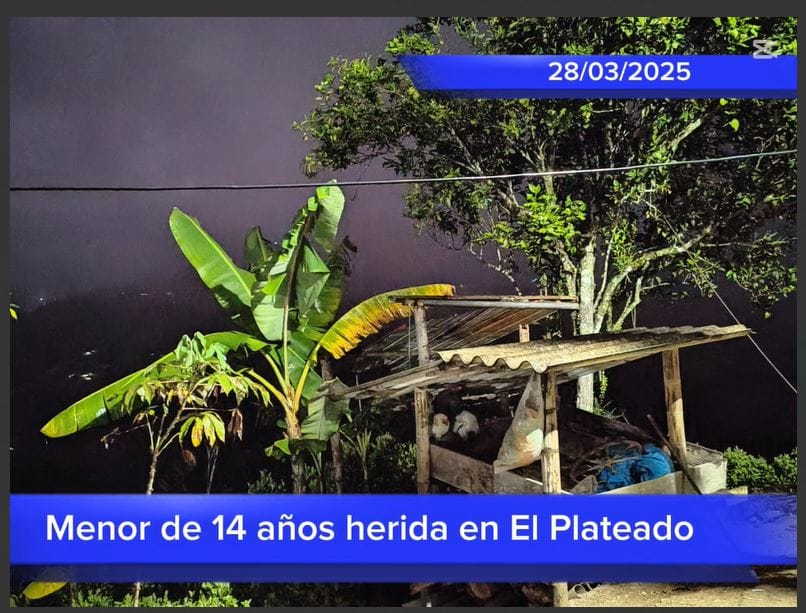 Niña de 14 años herida por arma de fuego en El Plateado: comunidades civiles claman protección