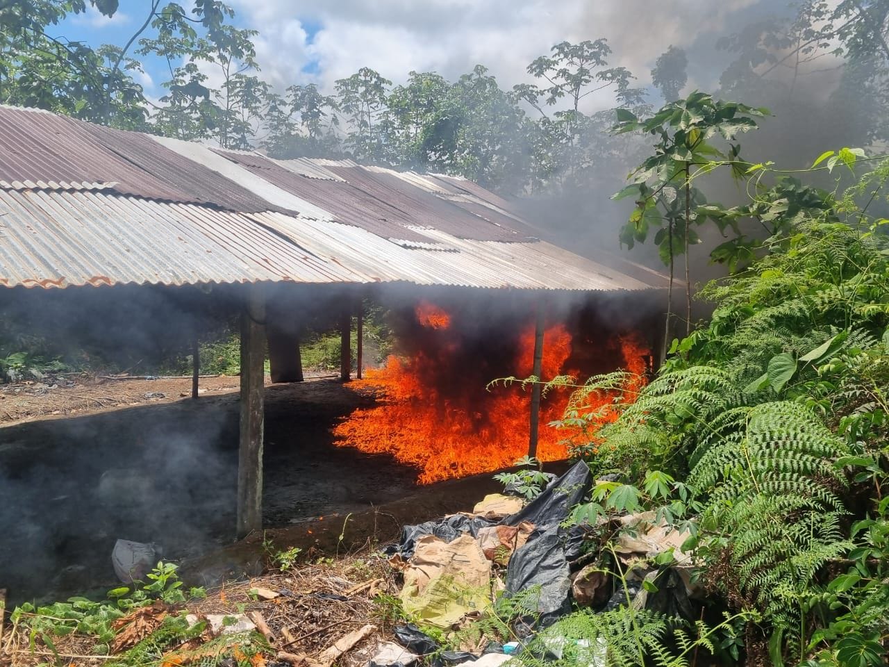 Destruyen 58 infraestructuras de producción de base de cocaína en Putumayo y Nariño