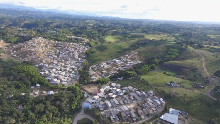 Preocupación en Popayán por la presencia de cultivos ilícitos en la zona rural