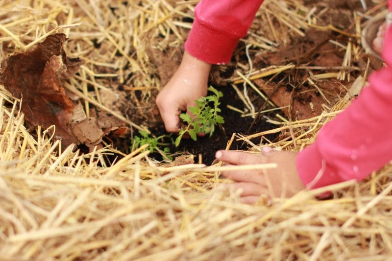 Gobernación del Cauca lidera articulación institucional por la paz y el desarrollo rural en el departamento