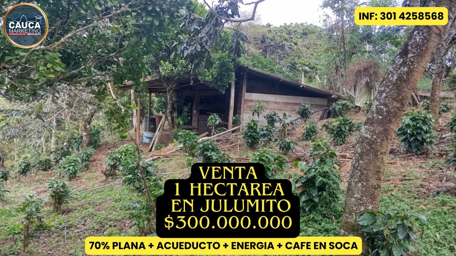 Invierte en 1 ha de terreno en Julumito, Cauca – $300 millones