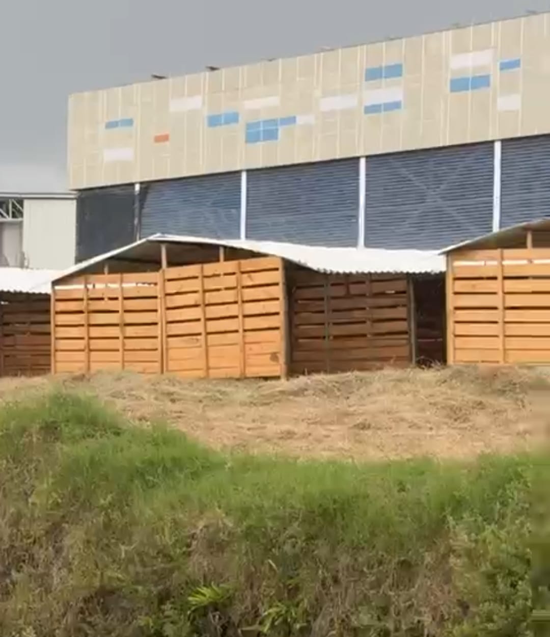 Feria equina en el complejo deportivo de Popayán despierta alertas sanitarias y legales