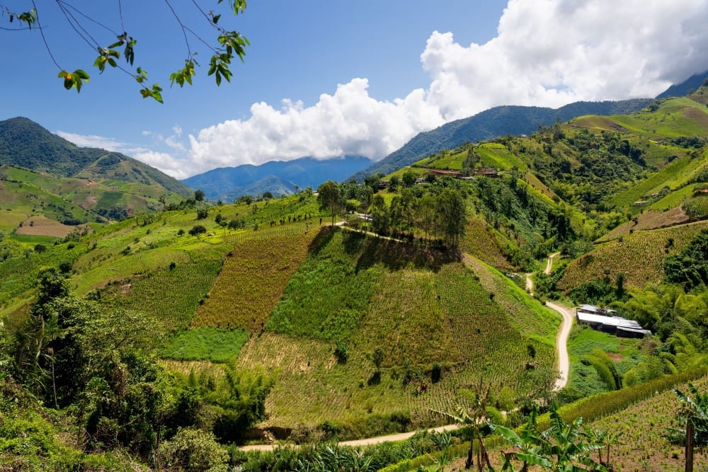 Empresas chinas ponen la mirada en HidroMicay, el megaproyecto energético del Cauca