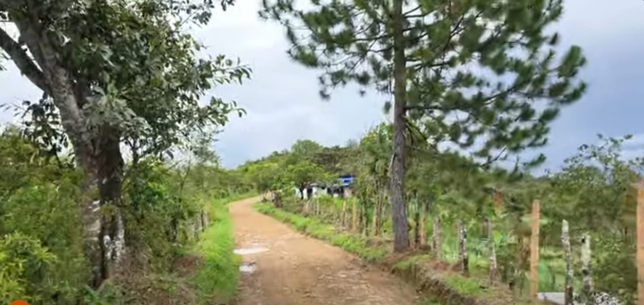 Gobierno del Cauca fortalece la red vial rural con nuevas acciones en Cajibío