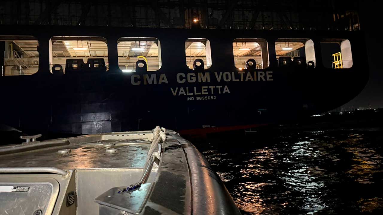 Fuerzas Armadas: contundente ofensiva en enero contra grupos armados ilegales, narcotráfico y economías ilícitas