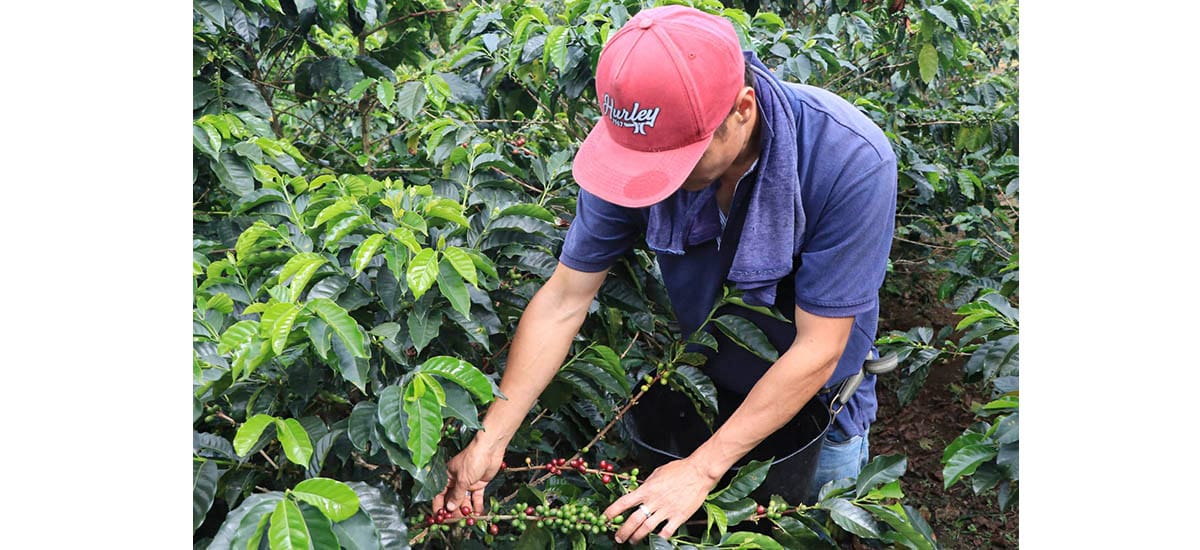 Exportaciones del agro siguen para arriba, en noviembre de 2025 registraron un crecimiento de 39,8 por ciento