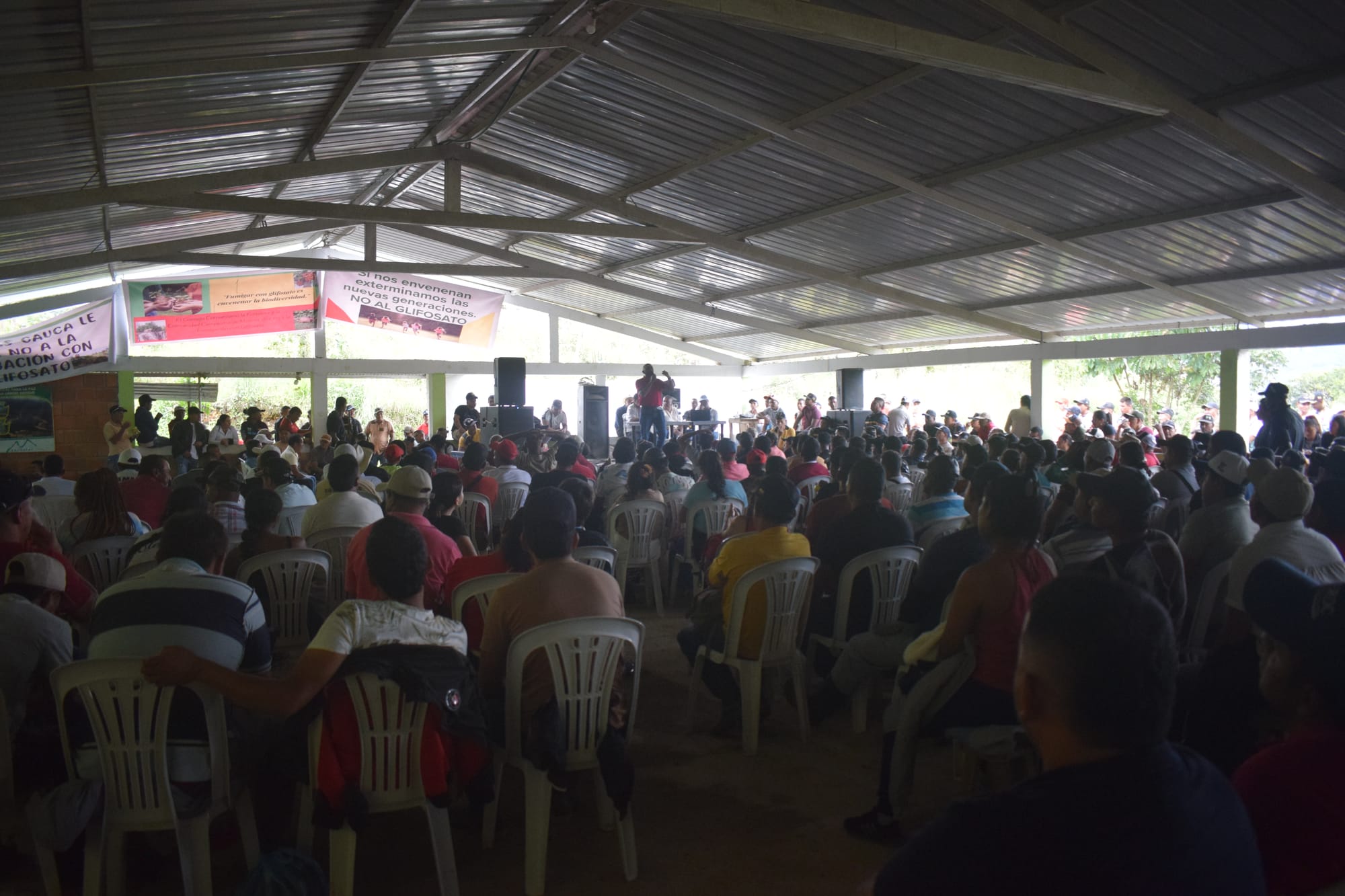 Morales, Cauca: cinco mil campesinos le dicen al gobierno que están listos para iniciar la sustitución voluntaria de los cultivos de uso ilícito