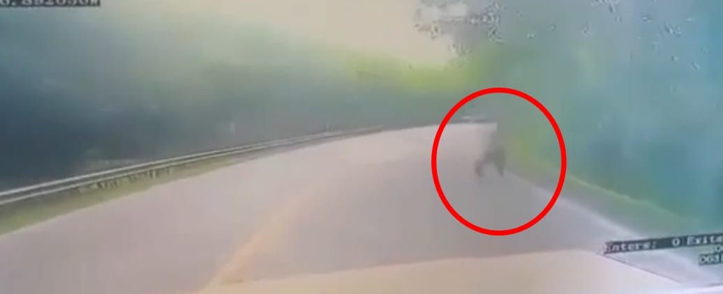 Video revela momento exacto del ataque a carro de valores en la vía Panamericana, en el sur del Cauca