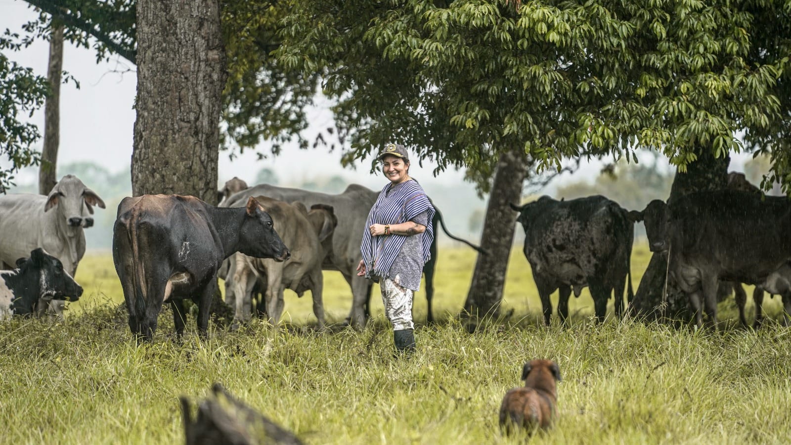 La paz también se construye con igualdad: ARN fortalece procesos con mujeres firmantes del Acuerdo de Paz
