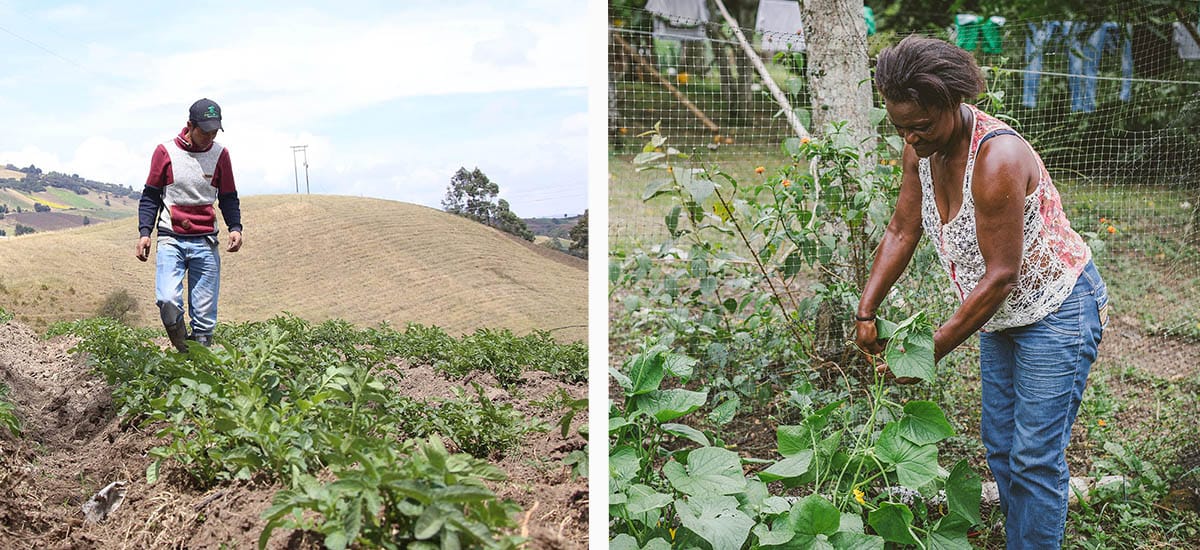 Sector agropecuario continúa siendo generador de empleo al iniciar 2026