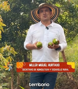 Secretaría de Agricultura del Cauca rendirá cuentas de la vigencia 2025 desde La Sierra