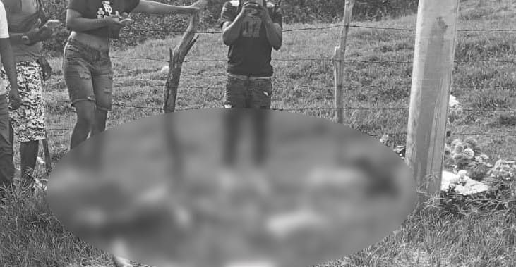 Cuatro jóvenes secuestrados en Jamundí, fueron encontrados muertos en Suárez, Cauca