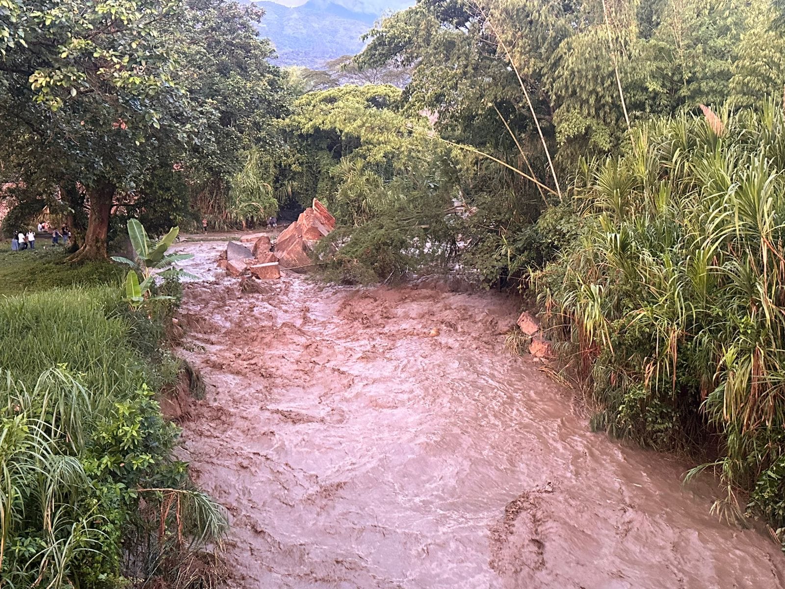 Colapsa histórico puente sobre el río Güengüé en Miranda, Cauca, en medio de emergencias por lluvias