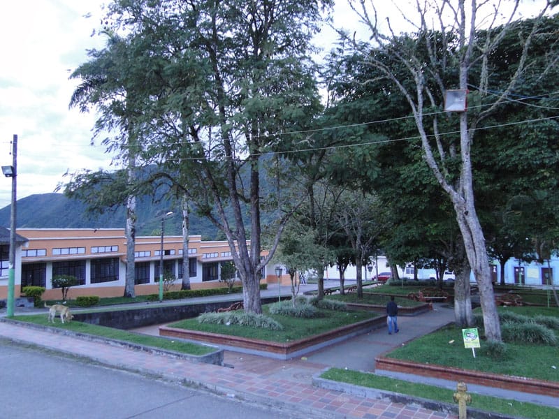 Fuerza pública frustra atentado con explosivos contra estación de Policía en Rosas, Cauca