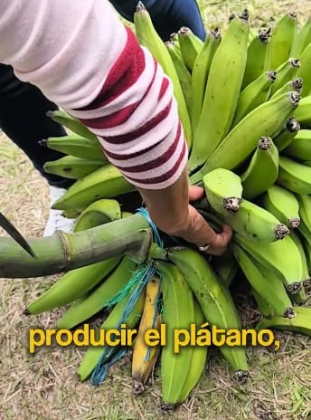 Cauca: Más de $44 mil millones impulsan el desarrollo rural