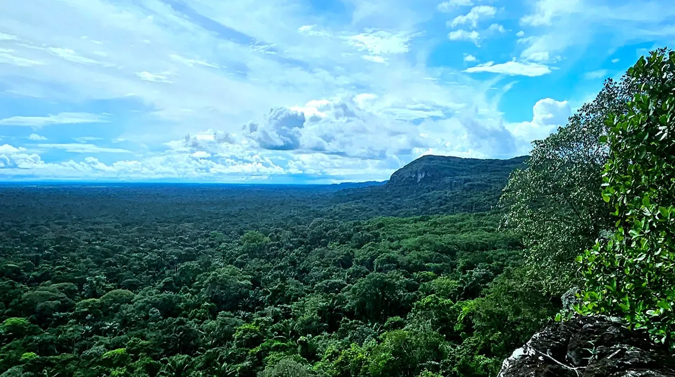 Angustia en el Guaviare: 66 soldados llevan tres días incomunicados en plena selva