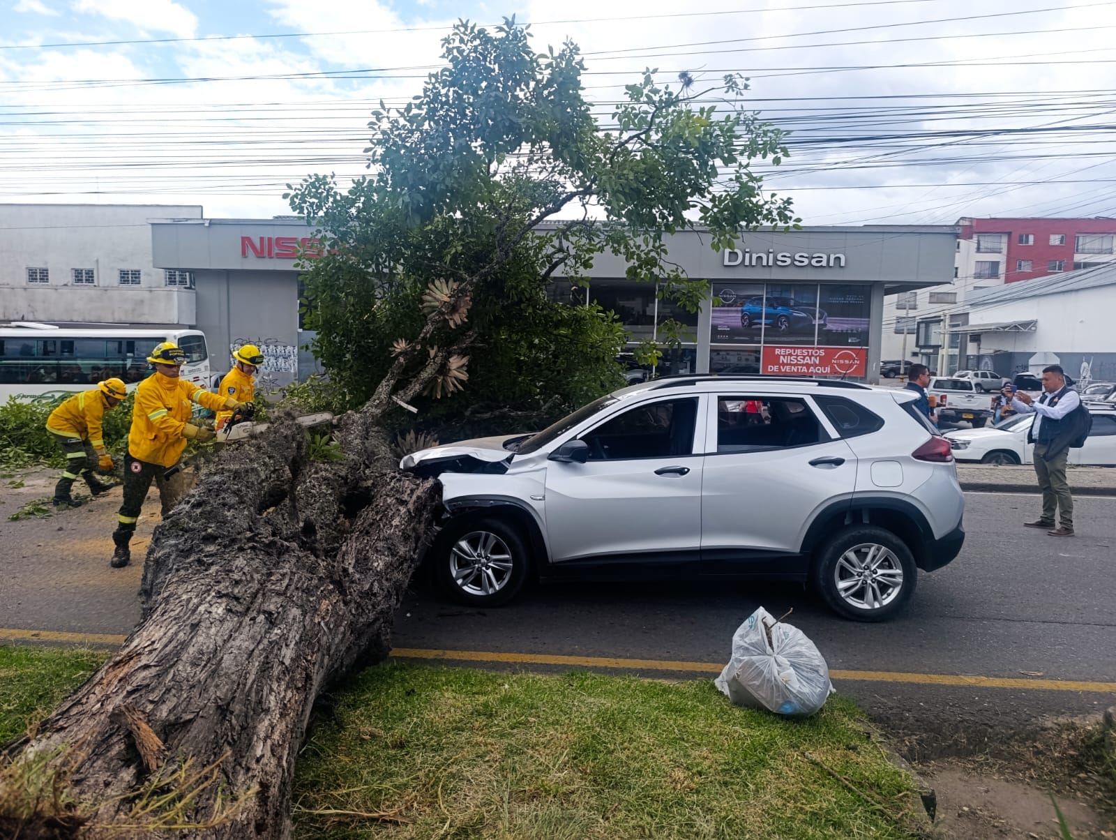 Árbol cae sobre una camioneta en la vía Panamericana de Popayán; una familia salió ilesa