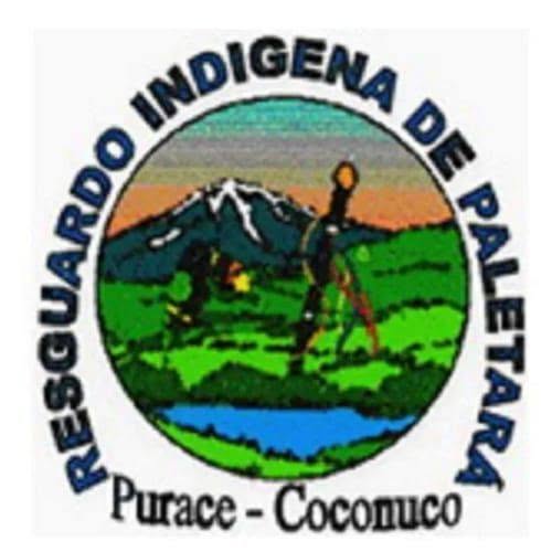 Guardia Indígena de Paletará recuperó vehículo de la UNP y capturó a cinco personas tras operativo comunitario