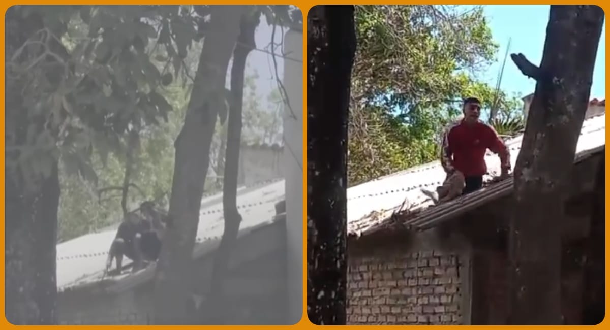 Momentos de tensión: frustran fuga de delincuentes de la carceleta Laura Valencia