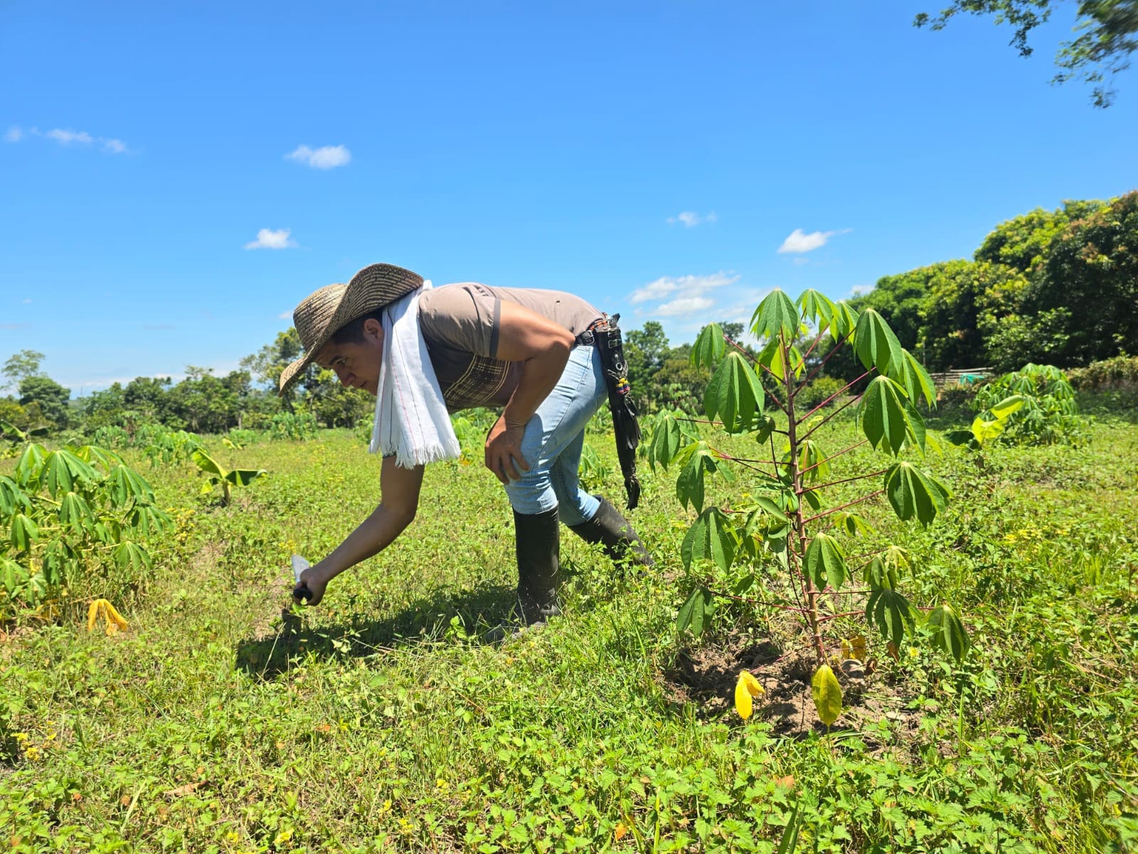 ONU reconoce avances de la Reforma Agraria en Colombia y llama a reforzar la protección de las familias beneficiarias