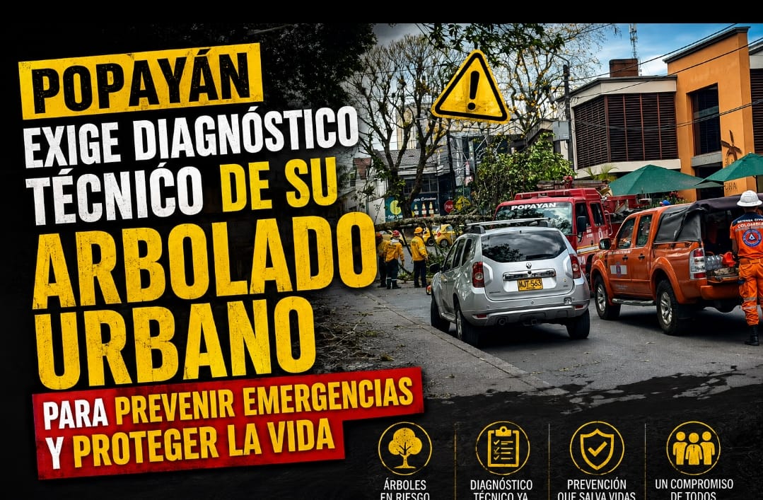 Popayán exige diagnóstico técnico de su arbolado urbano para prevenir emergencias y proteger la vida