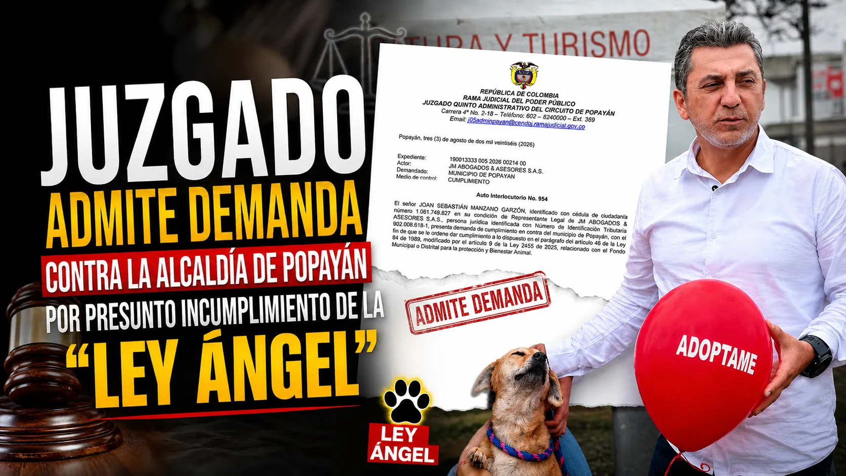 Juzgado admite demanda contra la Alcaldía de Popayán por presunto incumplimiento de la "Ley Ángel"