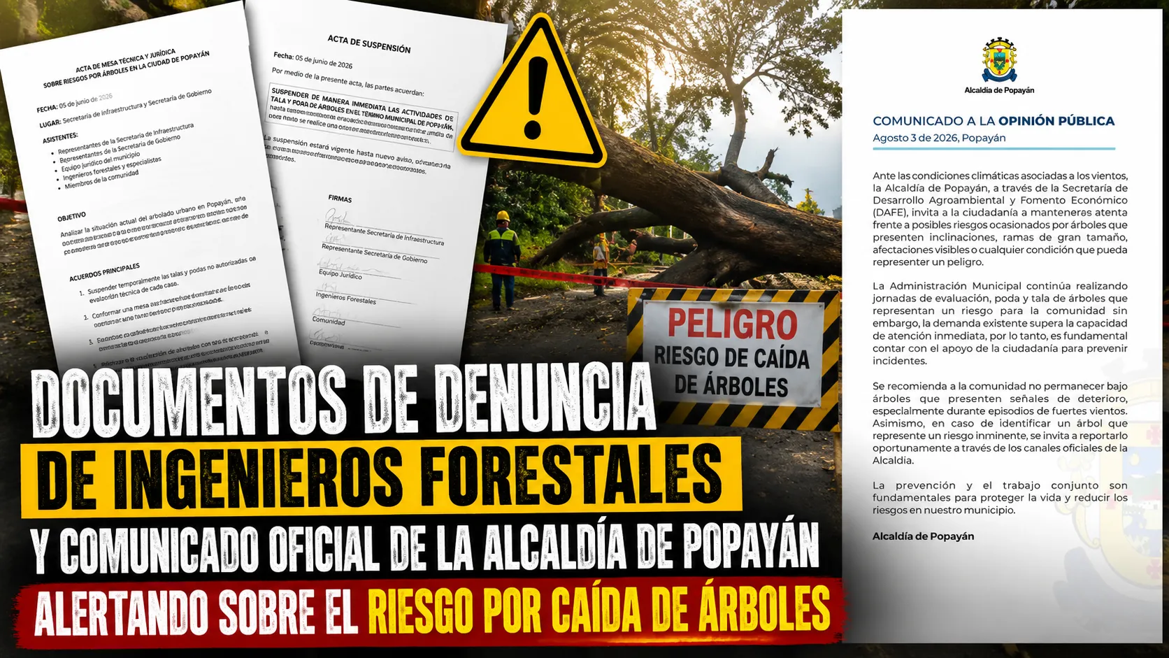 Escándalo por presunta falsedad documental paraliza contrato de poda de árboles en Popayán en plena temporada de vientos