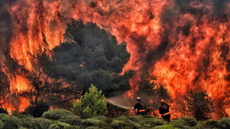 Más de 230 incendios azotan el territorio y calcinan miles de hectáreas en Grecia